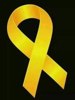 Public asked to participate in Yellow Ribbon Week to remember COVID victims
