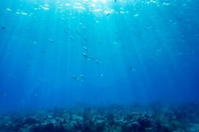 Nations urged to make UN summit a 'turning point' for oceans