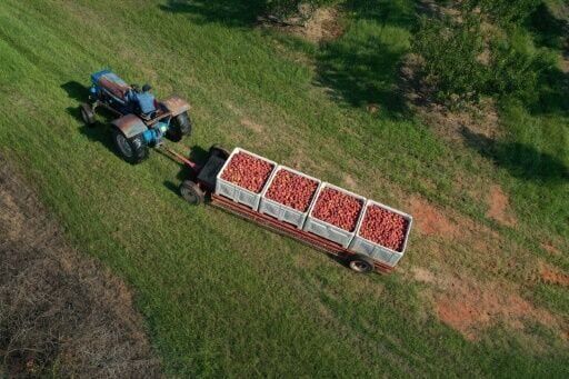 Do look up: How Earth can defend itself against asteroid