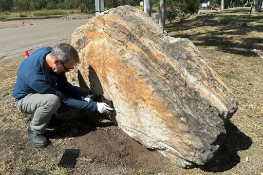 Trove of dinosaur footprints found at Australian school