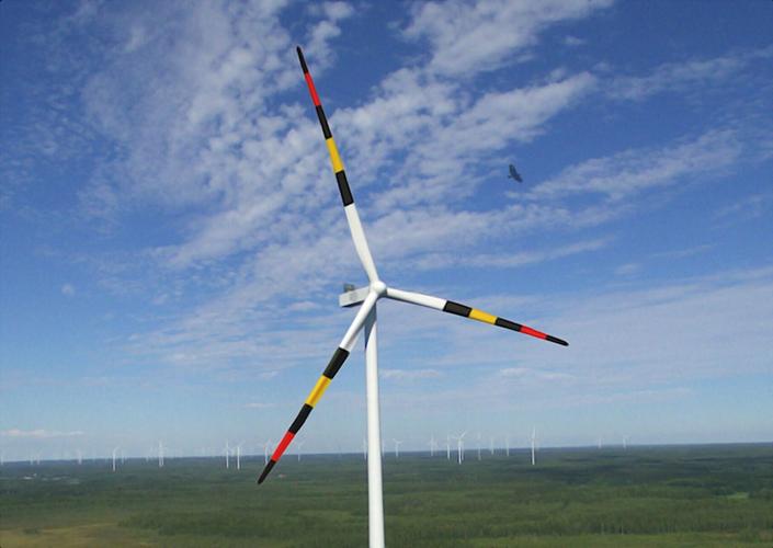 Painting turbines like poisonous frogs could reduce bird deaths