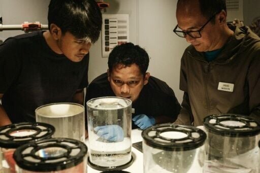 Each mission brings in local government and research institutions, and a new team of local scientists