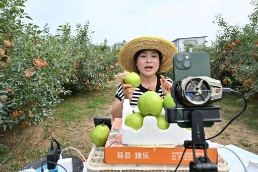 China's 'new farmers' learn to livestream in rural revitalisation