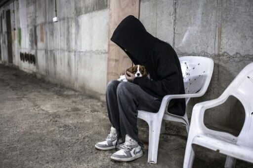 Authorities in Tel Aviv have issued guidelines to local residenct on how to look after pets during air raid alerts