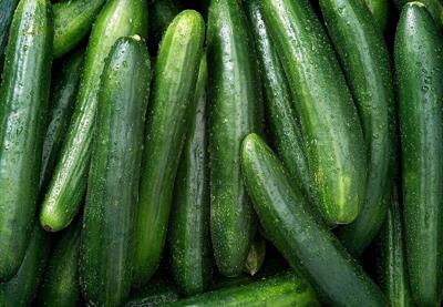 Cucumber-Linked Salmonella Outbreak Sickens Dozens Across 18 States