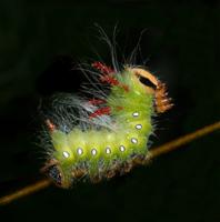 Outdoor Alabama Photo Contest Exhibit Premieres at EcoWild Expo