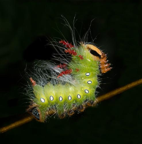 2024 Outdoor Alabama Photo Contest winner