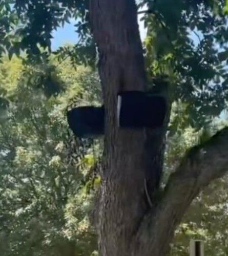 Outdoor speakers in Demopolis