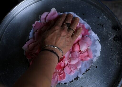Albania town where everything's coming up roses