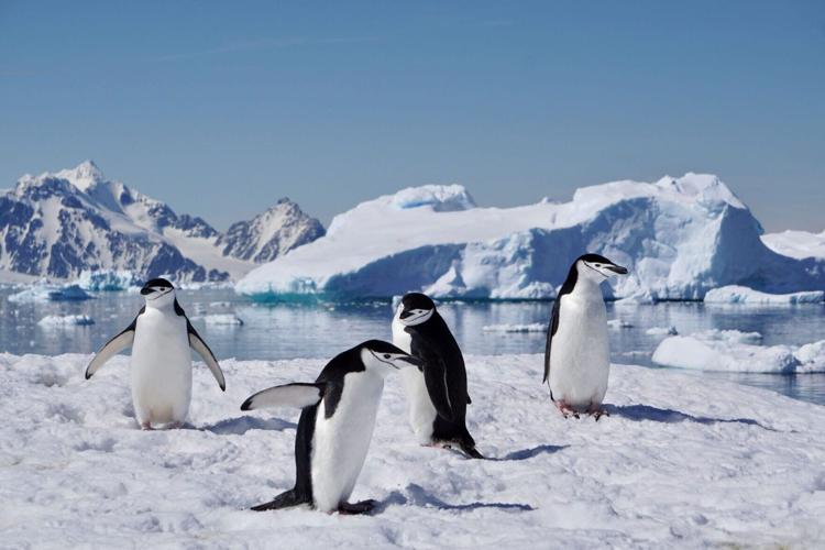 New study reveals staggering 11.3 billion tons of polar ice lost since 1970s