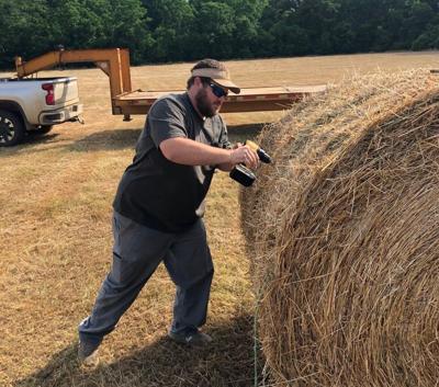 Guy using drill on hay for some reason