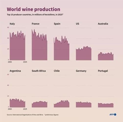 World wine production