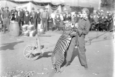 Mabel Stark tamed tigers – and even wrestled with them.