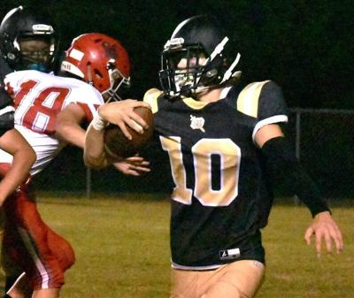 Meadowview drops third game of season