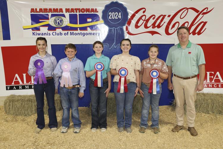 Junior Premier Exhibitor