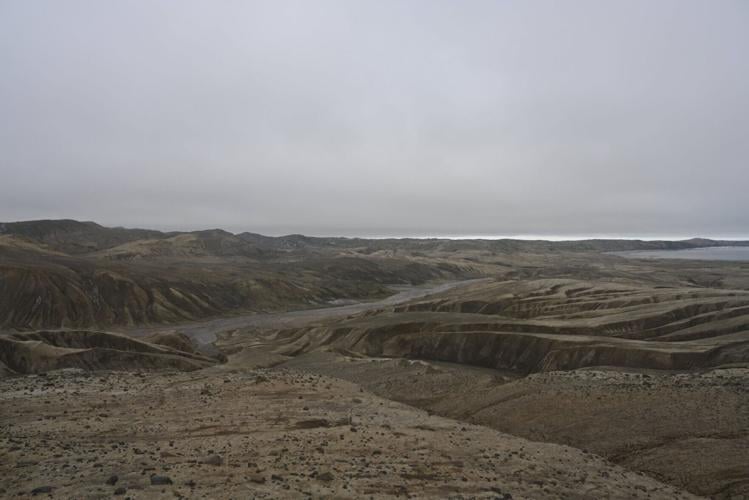 Ancient penguin fossils offer new window into Antarctica’s changing climate