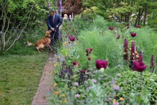 Beloved UK gardener's dog lends a paw at top flower show