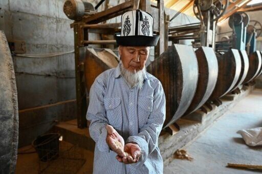 Houses made from rice: Kyrgyzstan's eco-friendly revolution