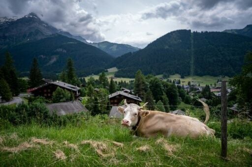 Oral tradition has it that yodelling started as a form of communication between herders in the Alps