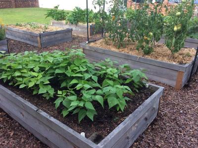 Thinking about switching to raised bed gardening?