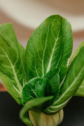 pexels-cup-of-couple-7657317