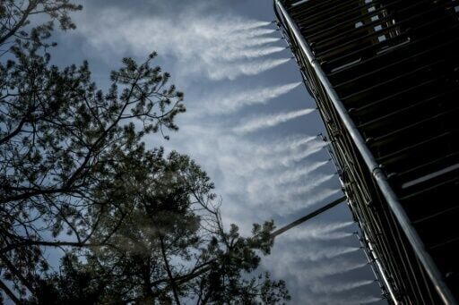 Facing climate change, Swiss trees get mist before they're missed