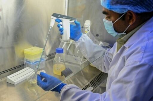 Vaccines against all four dengue serotypes have long posed a scientific challenge