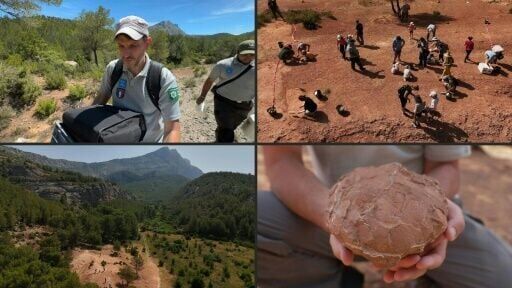 Eggs en Provence: France's unique dinosaur egg trove