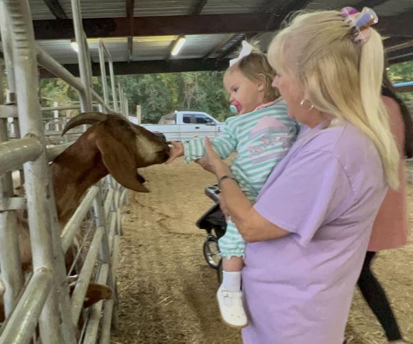 Central Alabama Fair petting zoo