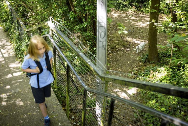 Cat follows ten-year-old owner to school and back every day