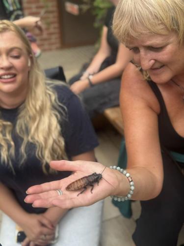 Animal park offers Valentines Day gift – cockroaches named after ex-lovers