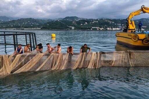 'Turkish salmon': the Black Sea's new rose-coloured gold
