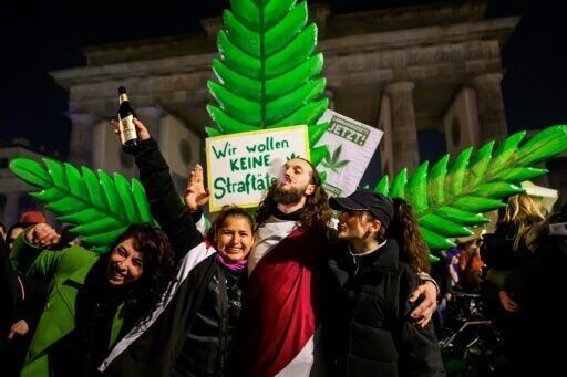 High times for German cannabis firm amid medical boom