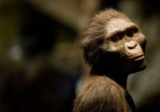 Prague museum to host first European display of 3.18 million year old Lucy