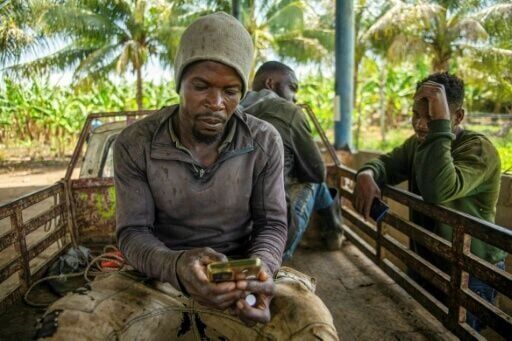 'Always hiding': Haitian laborers fear Dominican deportation push