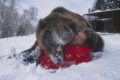 Bear trainer Doug Seus plays with Bart the Bear, who's appeared in over 20 TV shows and films.