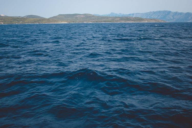 pexels-vitalii-dobrianskyi-2616211-9038887