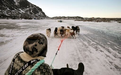 Musher Nukaaraq Lennert Olsen rides with his sled dogs near the 'dog town' of Sisimiut, Greenland