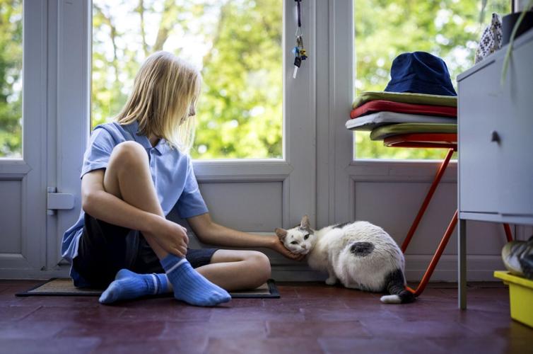 Cat follows ten-year-old owner to school and back every day