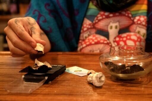 Legalizing magic mushrooms under Trump? Psychedelic fans remain skeptical