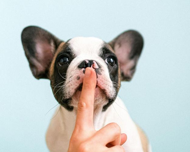 pexels-shvetsa-4587991