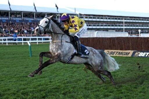 Paul Townend and Il Etait Temps won the Queen Mother Champion Chase despite a dreadful error at the last fence