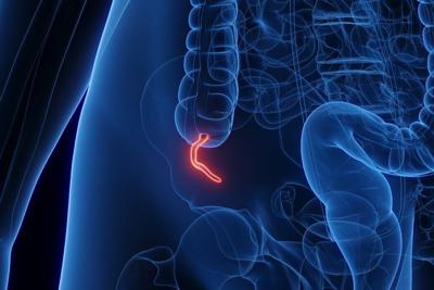 Most people get acquainted with their appendix when it's inflamed and about to rupture.