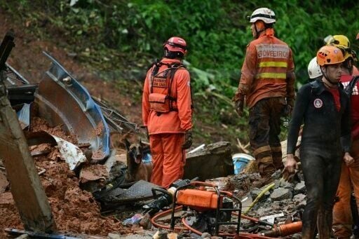 Firefighters and their dog search for victims of a landslide caused by heavy rains in the Parque Jardim Burnier neighbourhood in Juiz de Fora, Minas Gerais State
