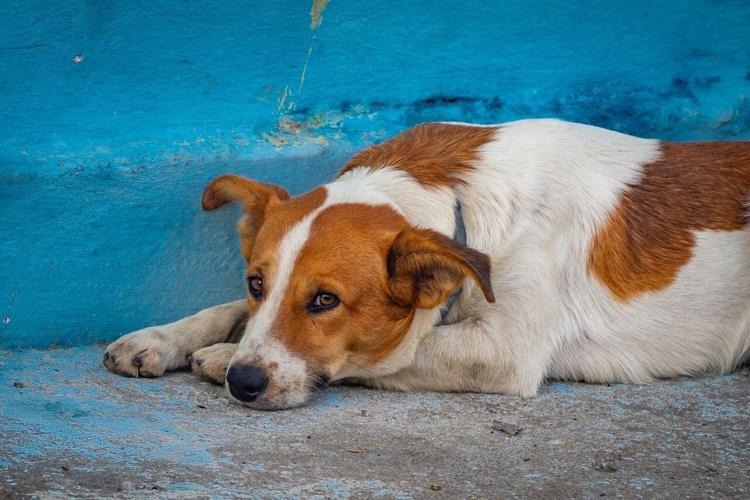 pexels-sofus-34133013