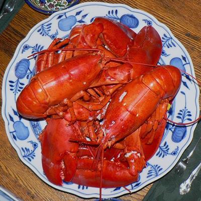 Boiled lobster stock