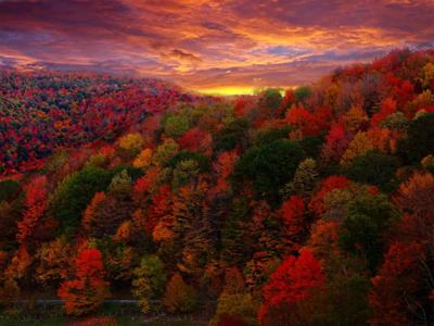 Fall foliage stock