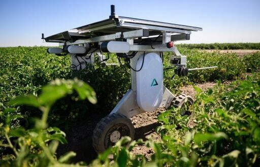 AI robots fill in for weed killers and farm hands