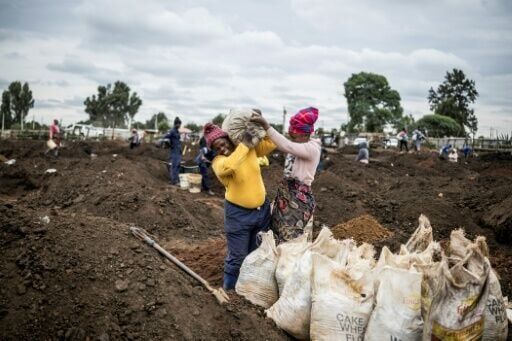 Prospectors fill bags with earth to sift it for gold