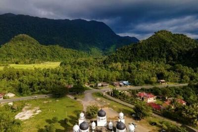 Activists slam 'destructive' Indonesia forest conversion plan